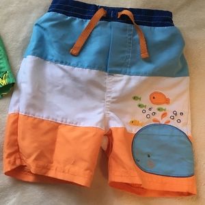 Adorable Infant Swim Trunks / Shorts